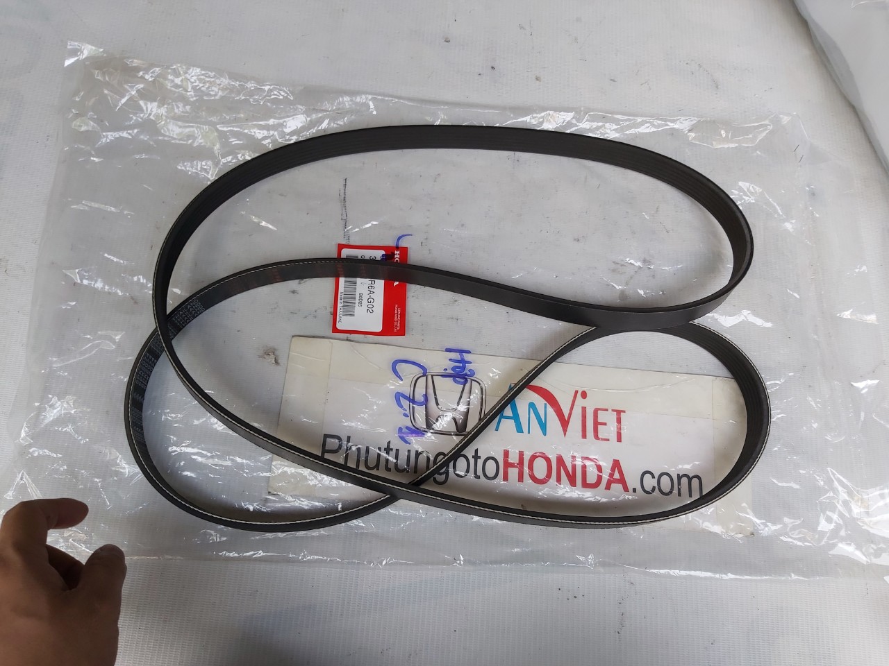 Dây curoa bơm nước xe Honda CIVIC